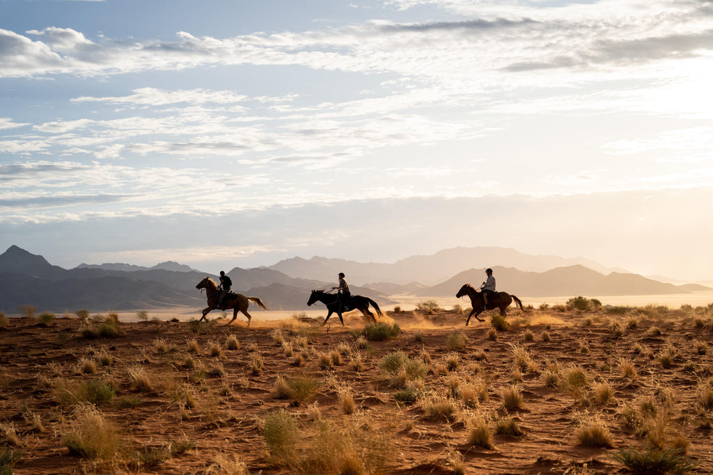 Horse Riding gallery image 7