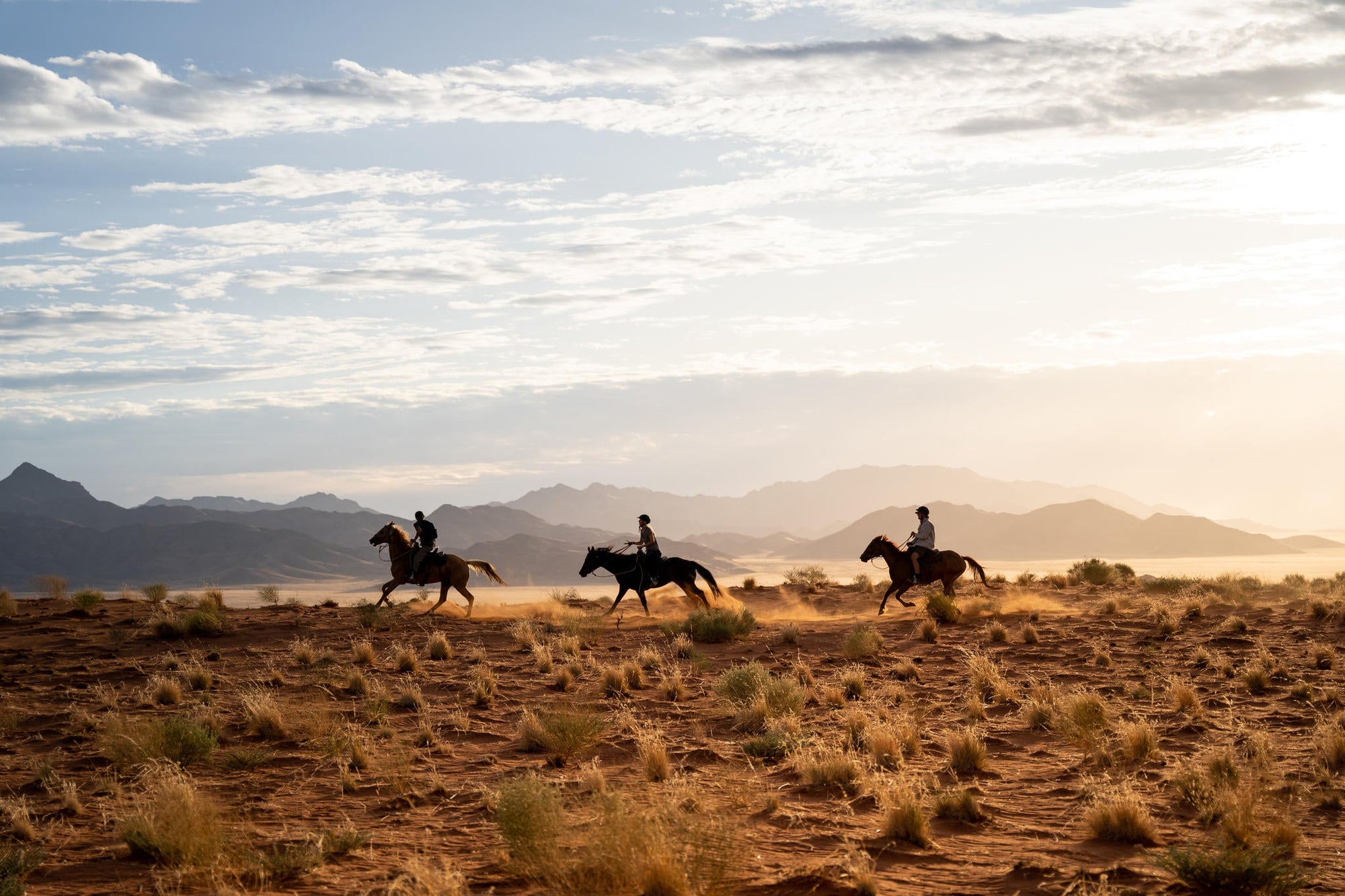 Horse Riding gallery image 7