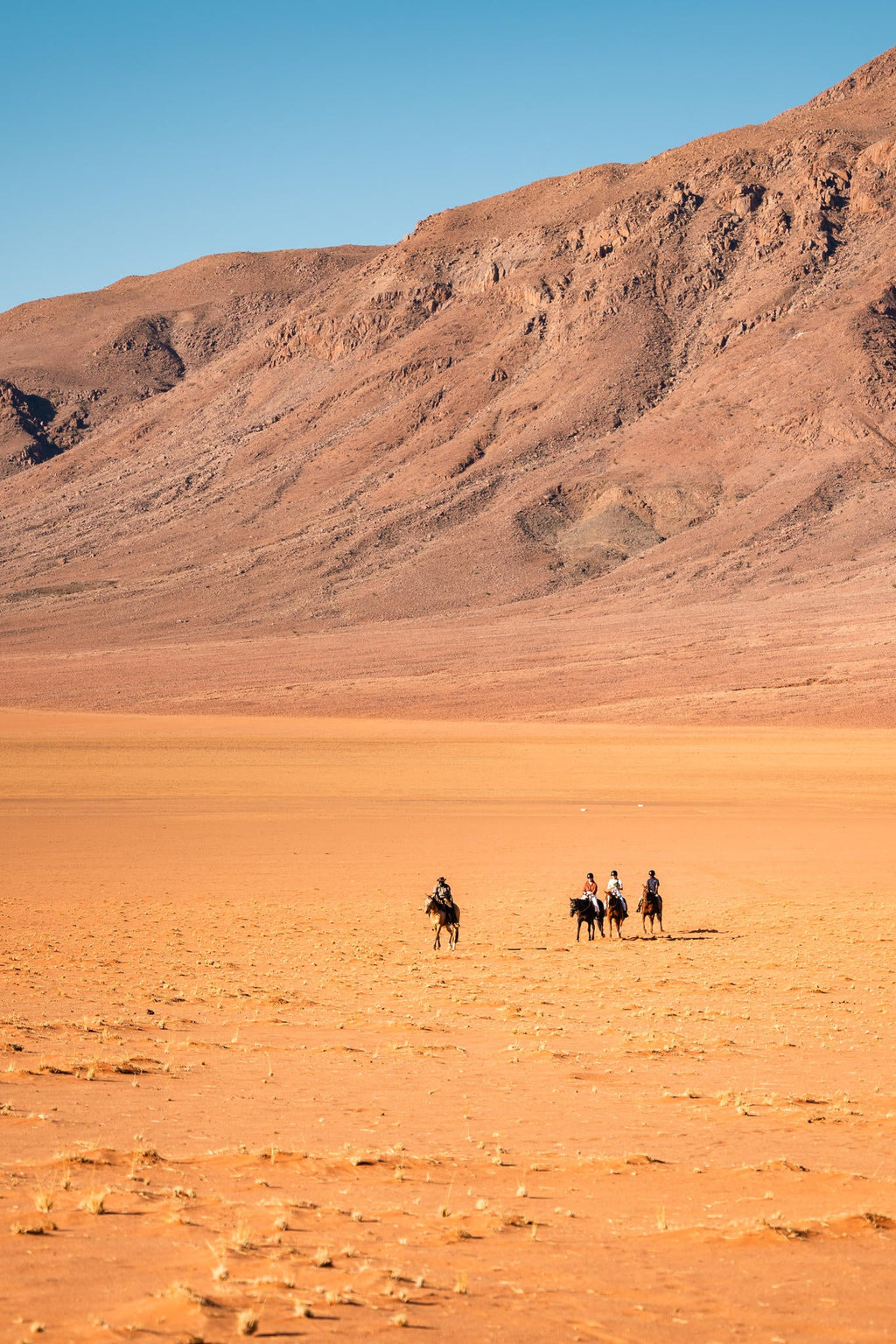 Horse Riding gallery image 8