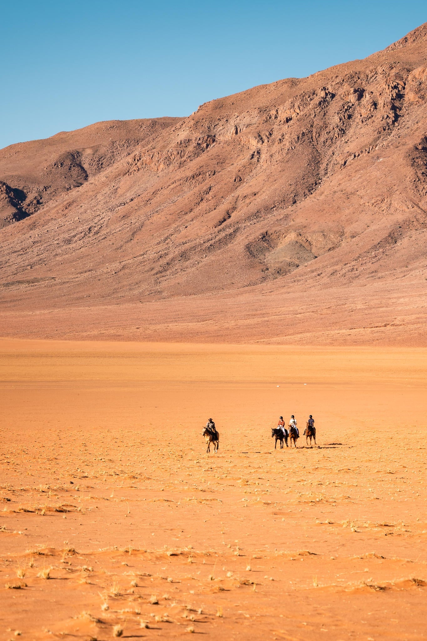 Horse Riding gallery image 8