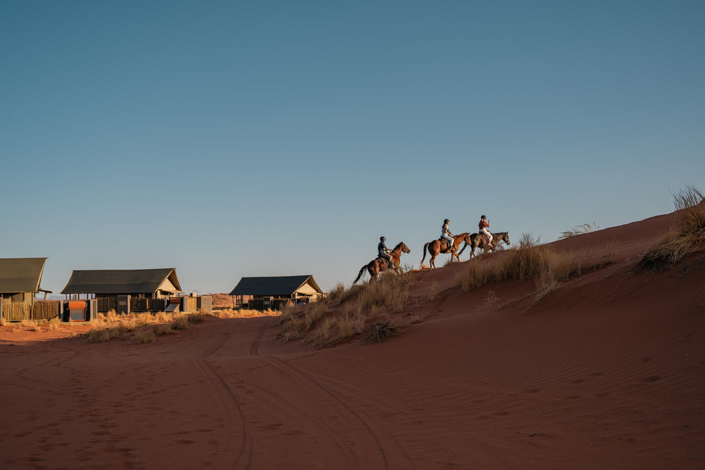 Horse Riding gallery image 11