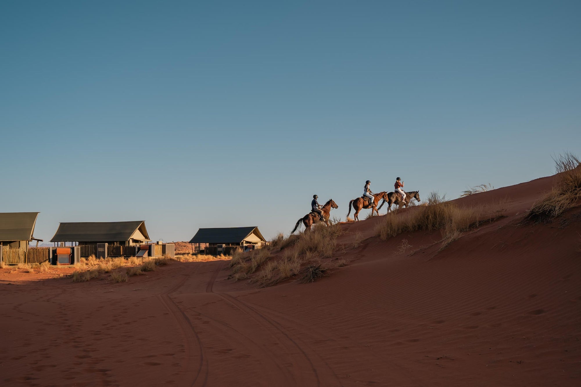 Horse Riding gallery image 11