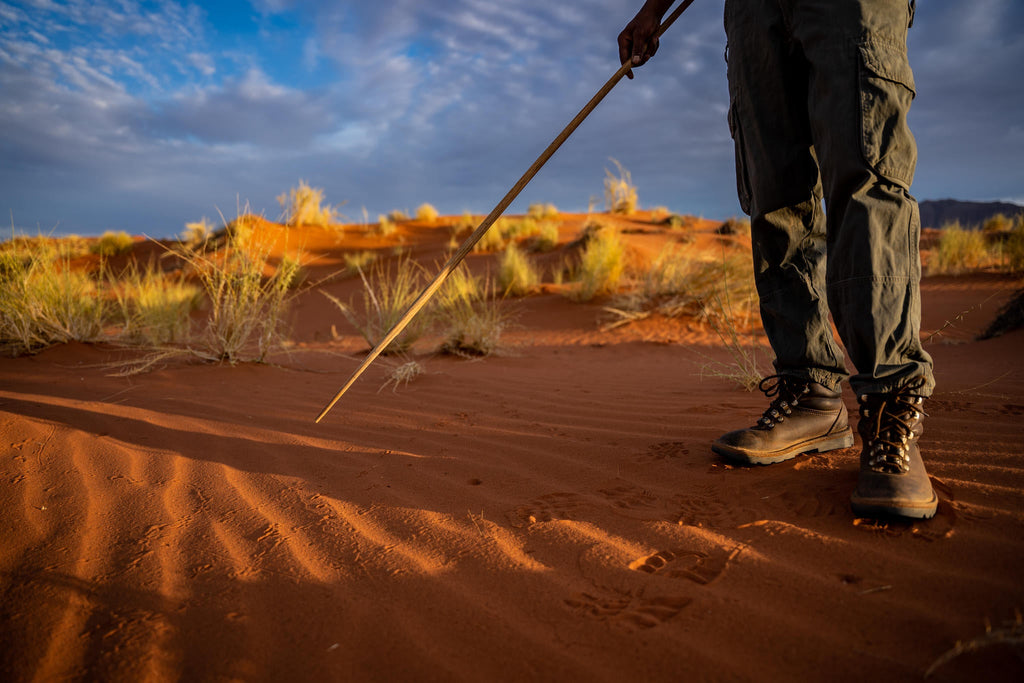 Bushman Walk gallery image 7