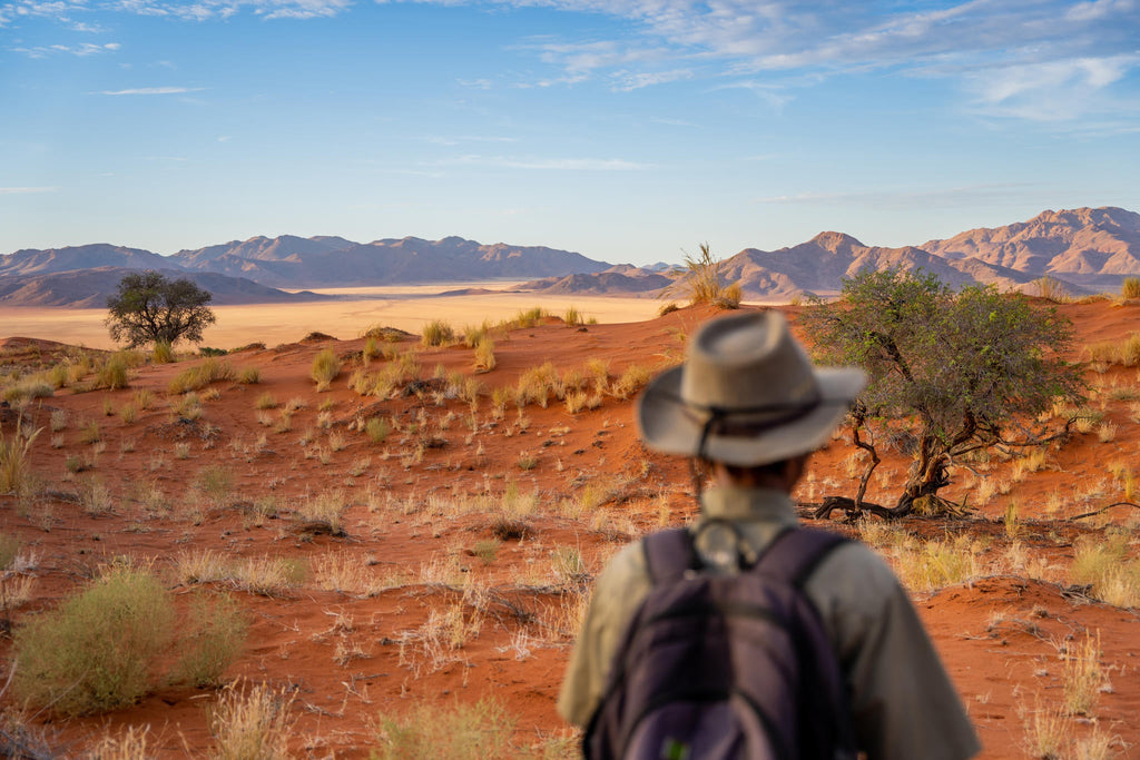 Bushman Walk gallery image 9