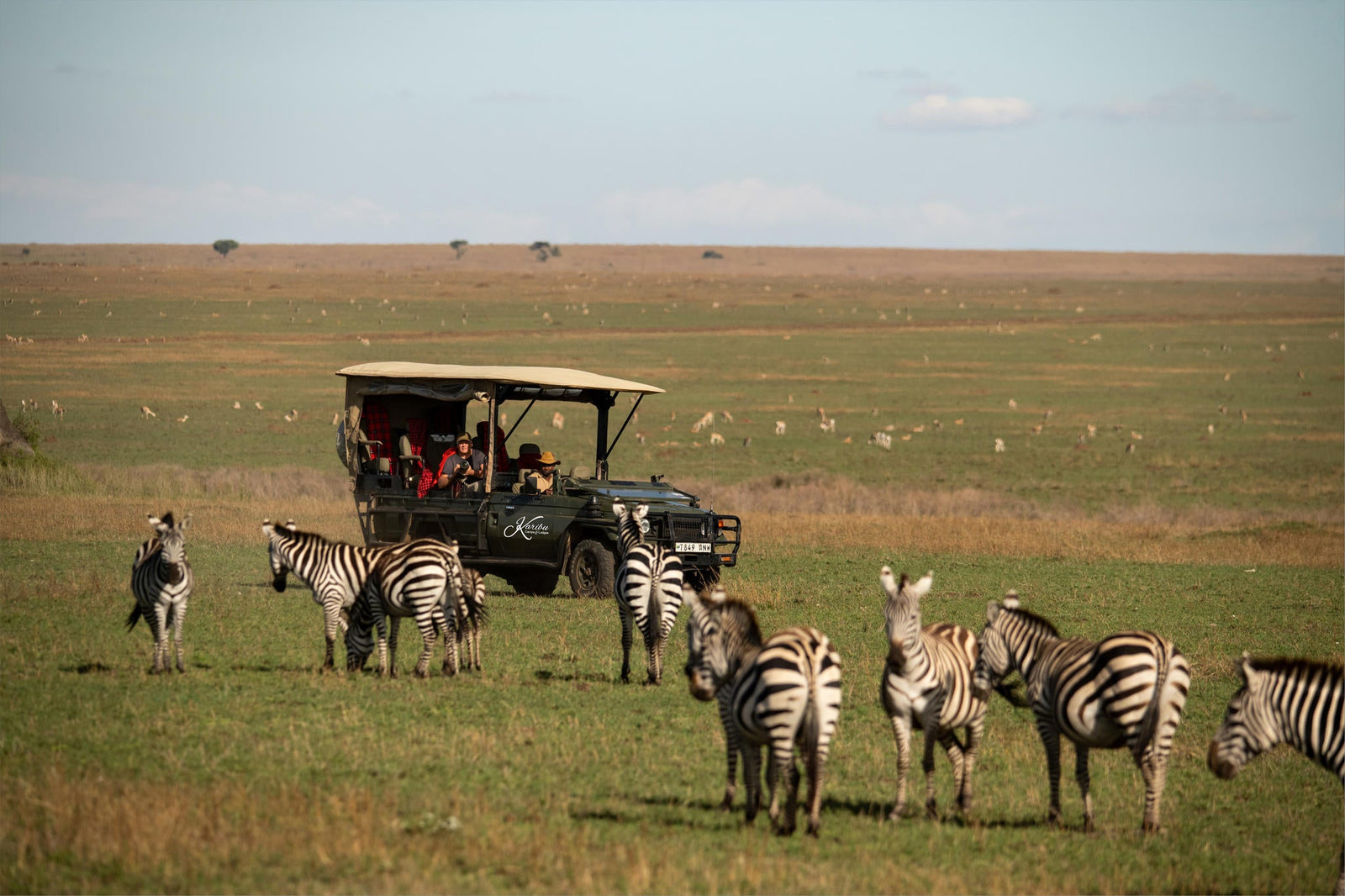 Open Safari Vehicle Game Drives