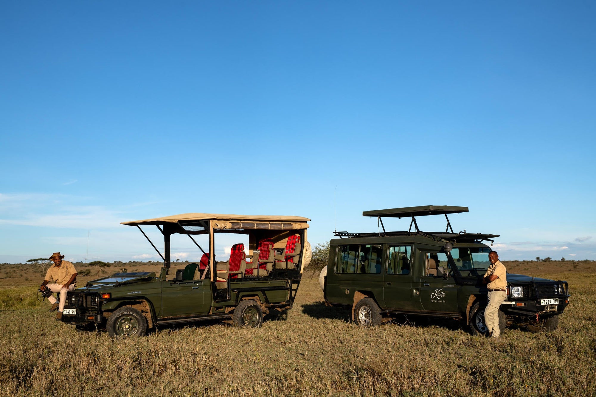 Open Safari Vehicle Game Drives gallery image 2