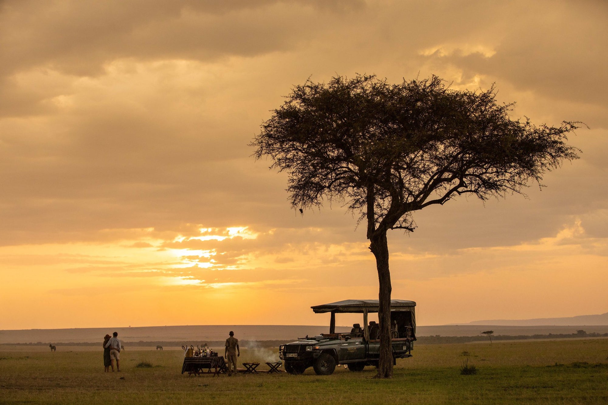 Safari drives (day & night)
