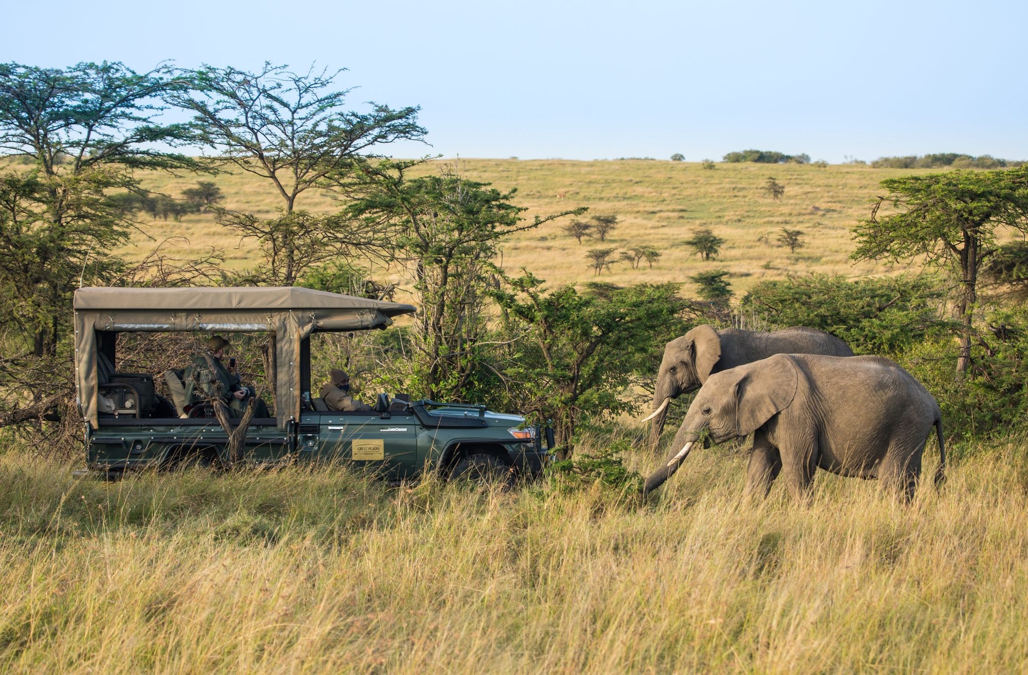 Safari drives (day & night)