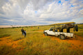 Game Drives gallery image 1