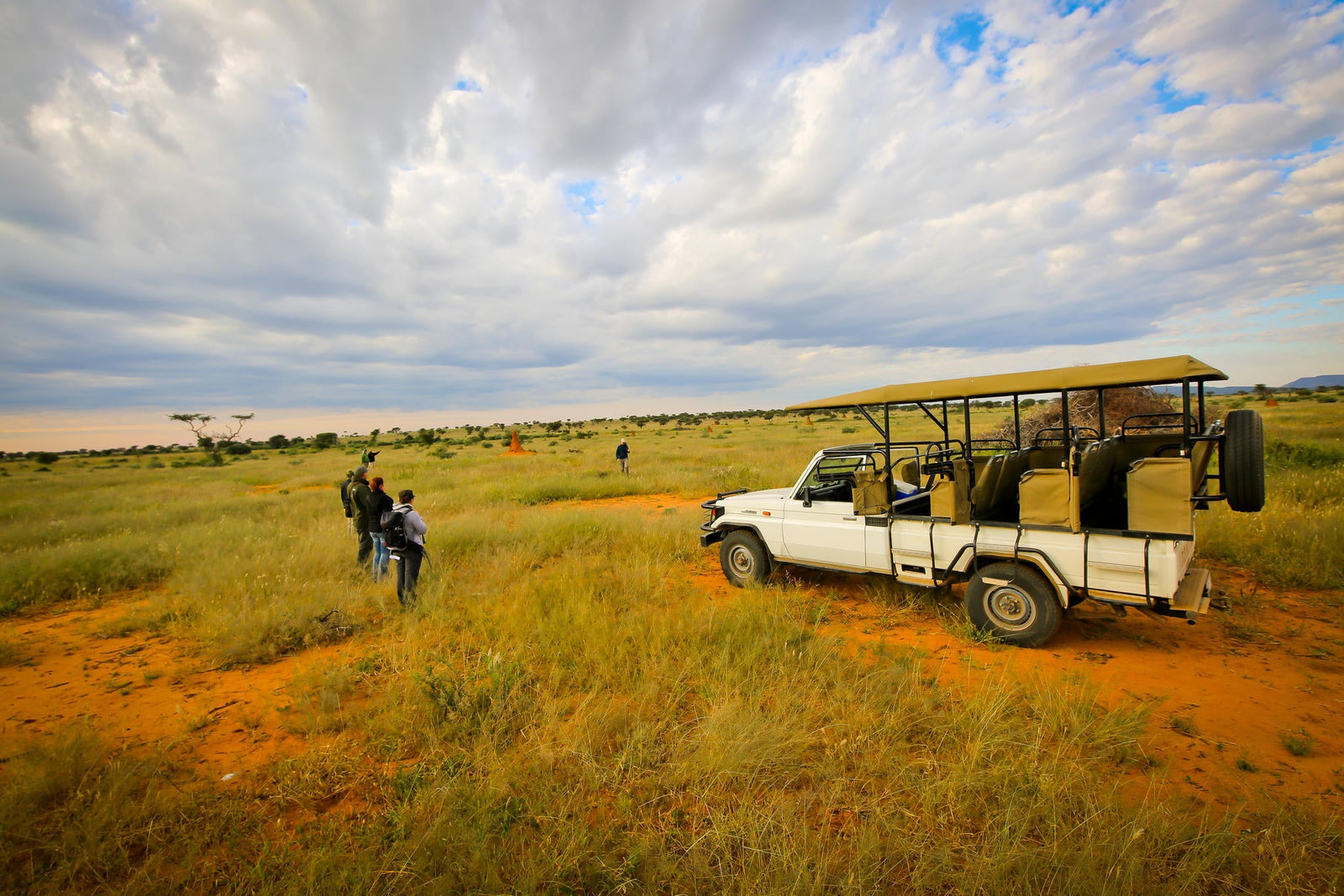 Game Drives