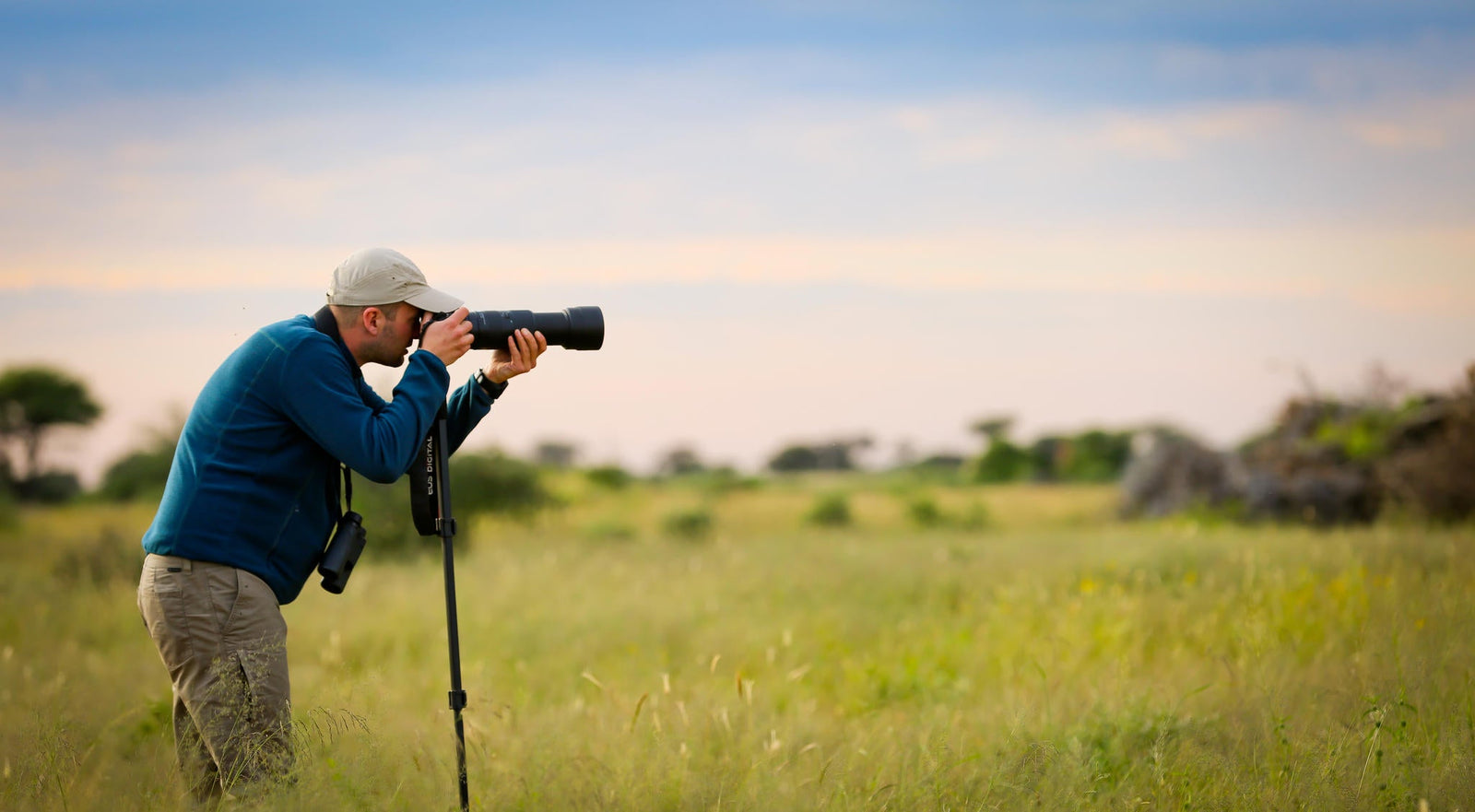 Bird-Watching