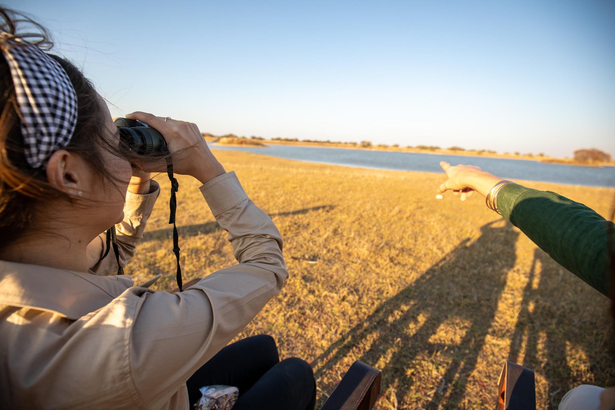 Bird-Watching gallery image 2