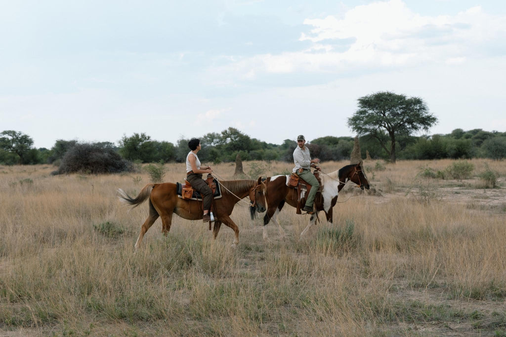 Horse riding gallery image 1