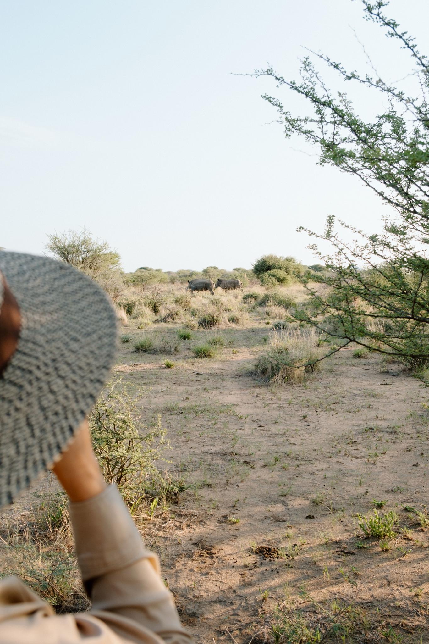 Rhino Tracking gallery image 2