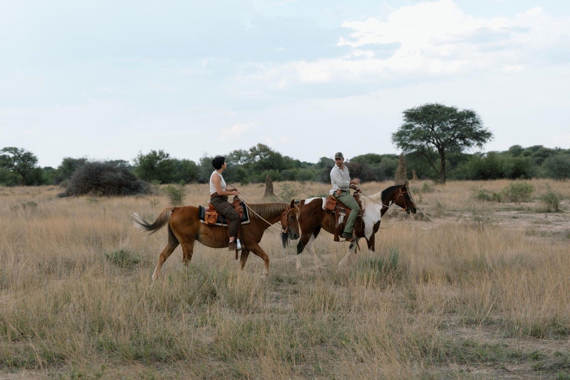 Horse riding gallery image 3