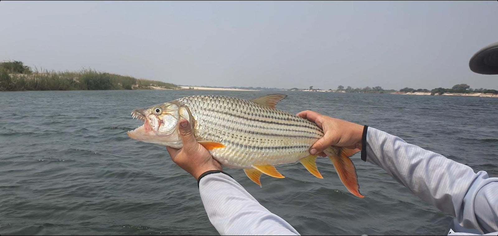 Fishing Excursion