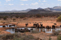 Watering hole - at an additional cost gallery image 1