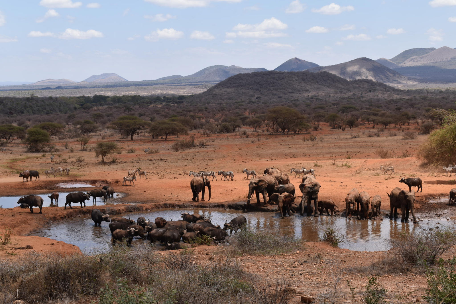 Watering hole - at an additional cost