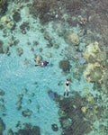 Snorkelling at Nosy Tanikely gallery image 1