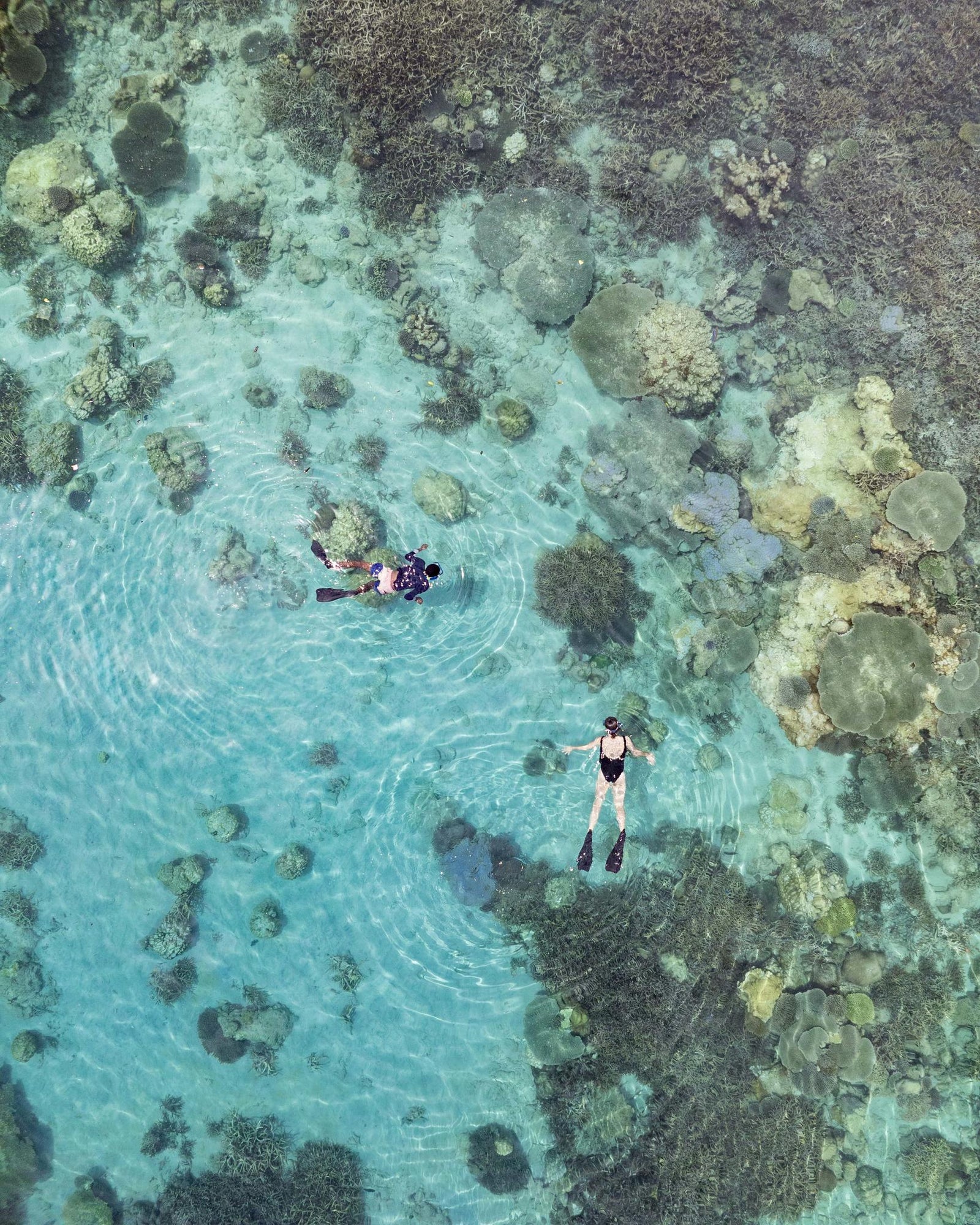 Snorkelling at Nosy Tanikely
