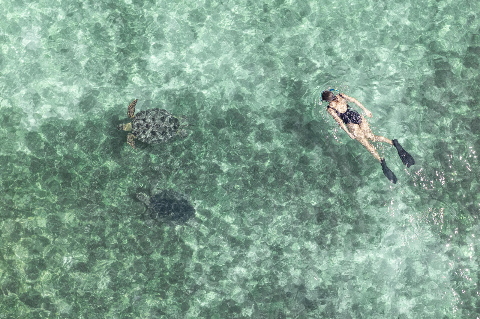 Guided visit to Sakatia Island