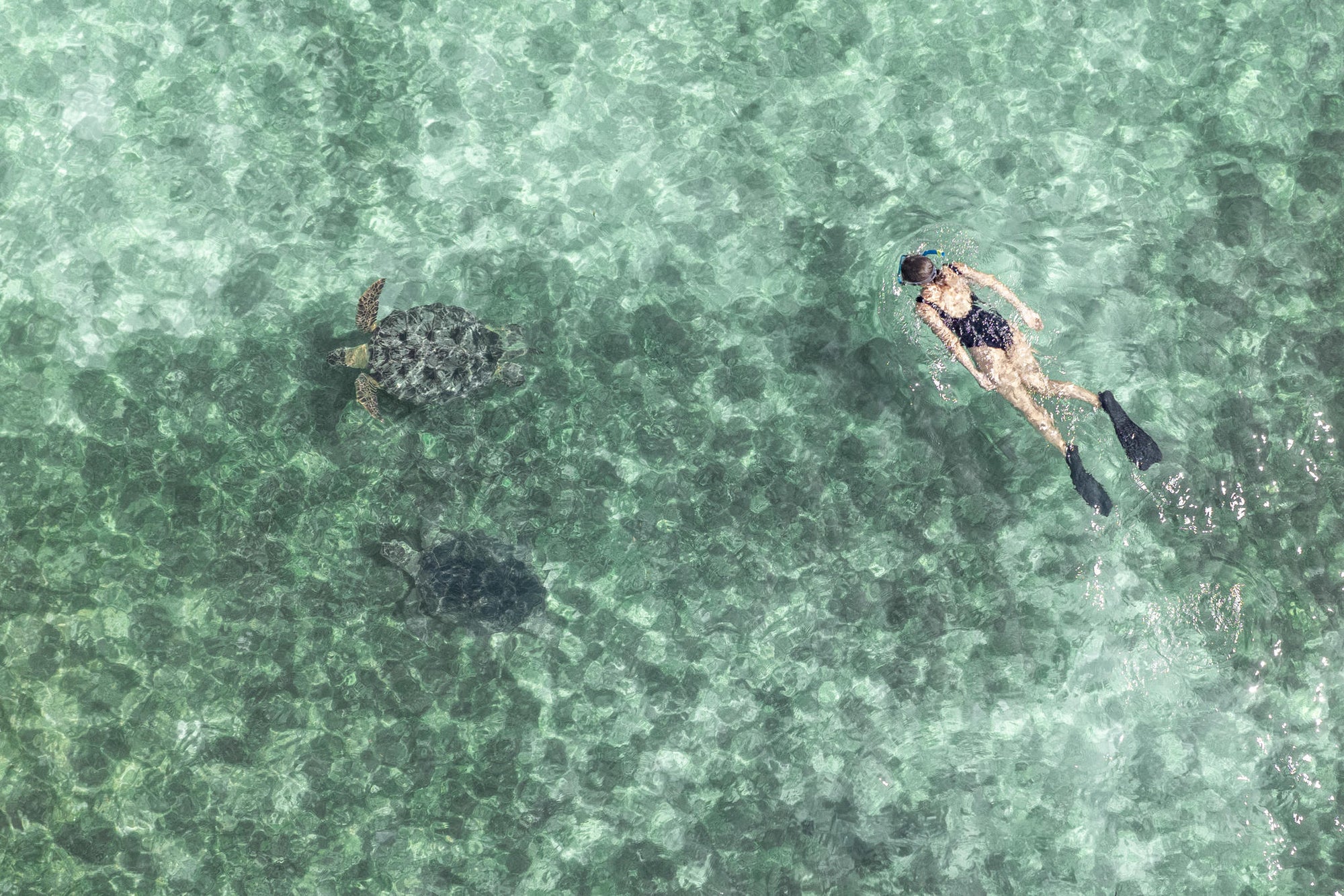 Guided visit to Sakatia Island gallery image 1