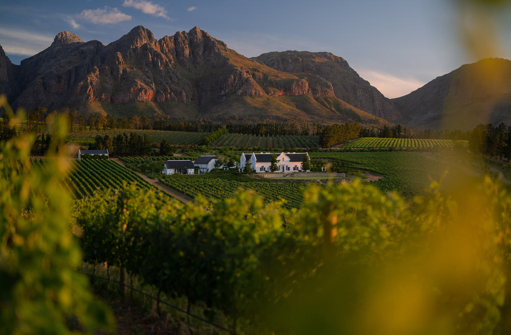 brookdale-estate-cape-town-south-africa