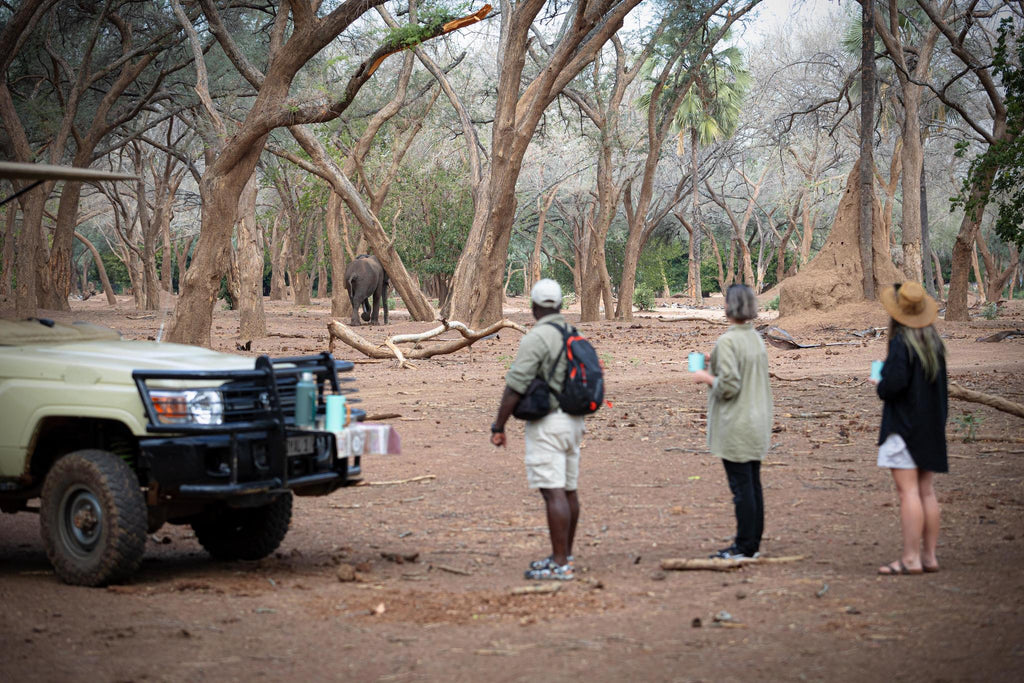 Bush Walks and Hiking gallery image 5