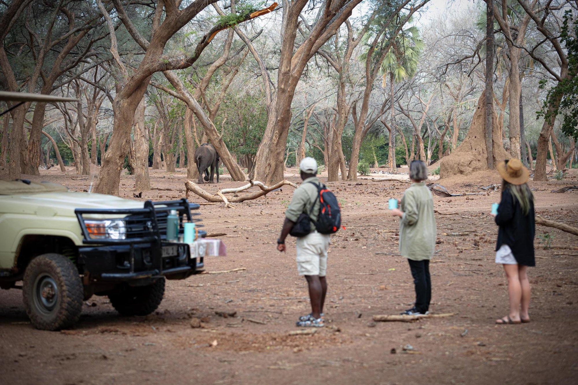 Bush Walks and Hiking gallery image 5