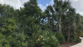 Key West Tropical Forest & Botanical Garden