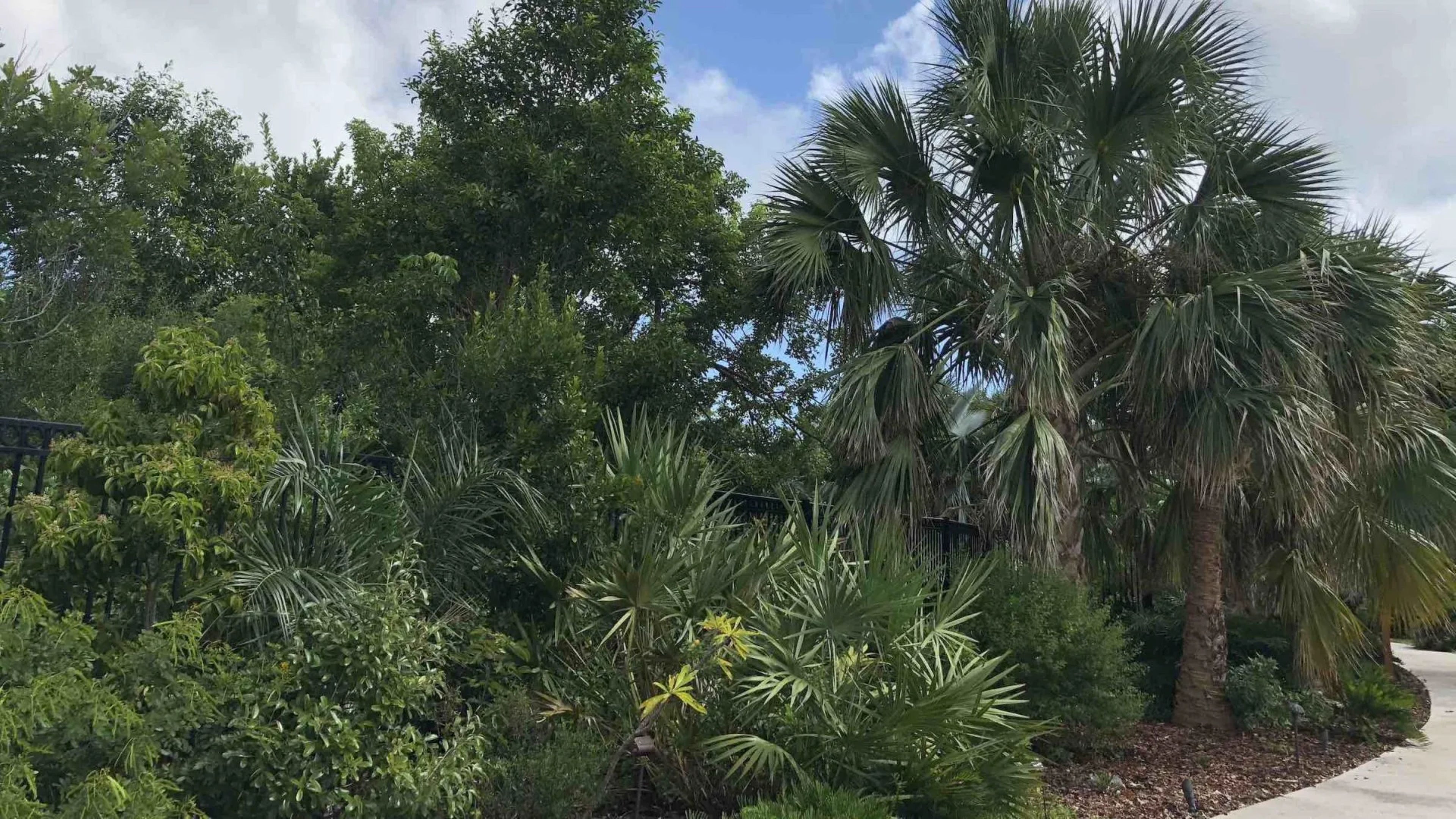 Key West Tropical Forest & Botanical Garden