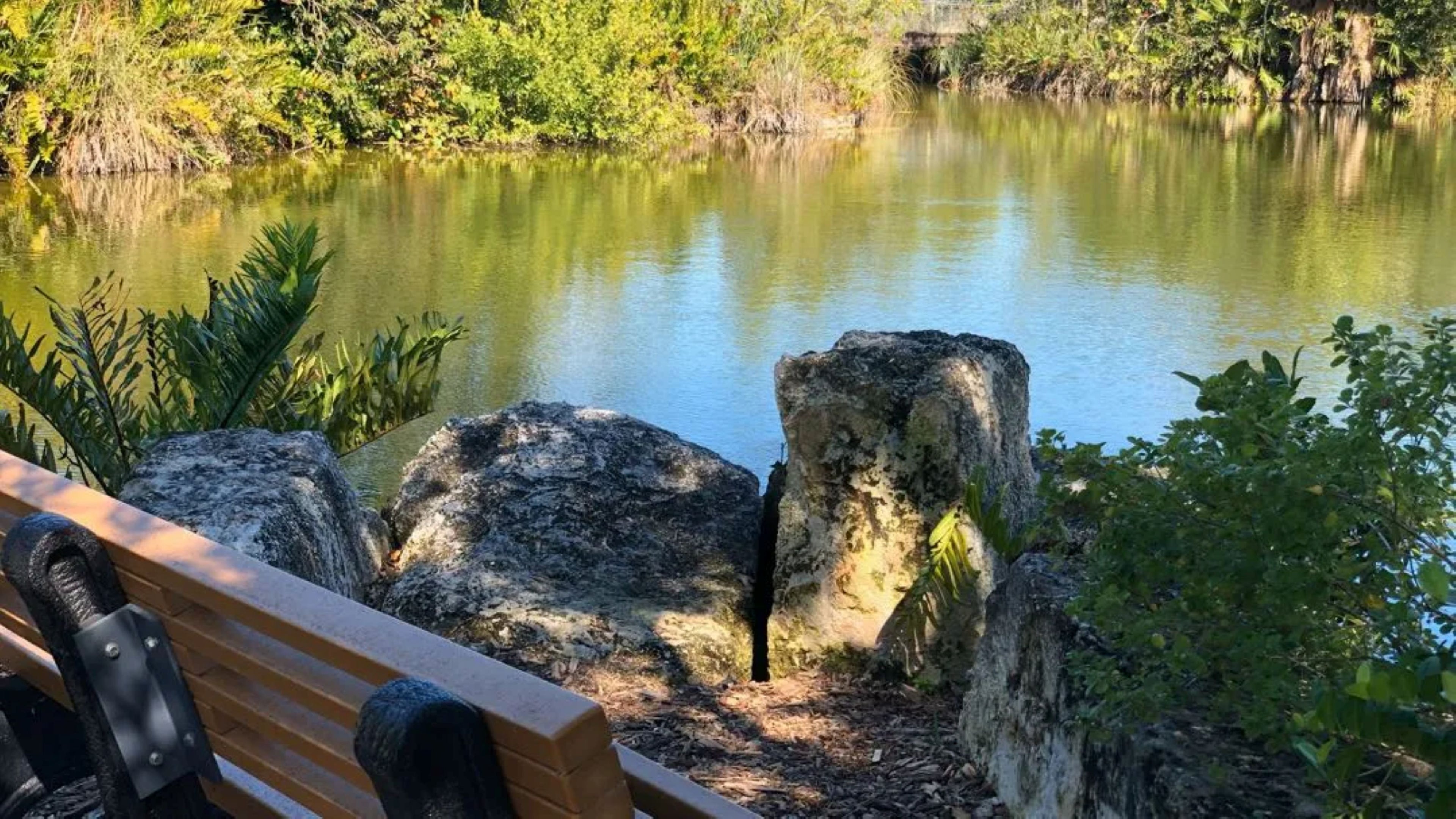 Key West Tropical Forest & Botanical Garden