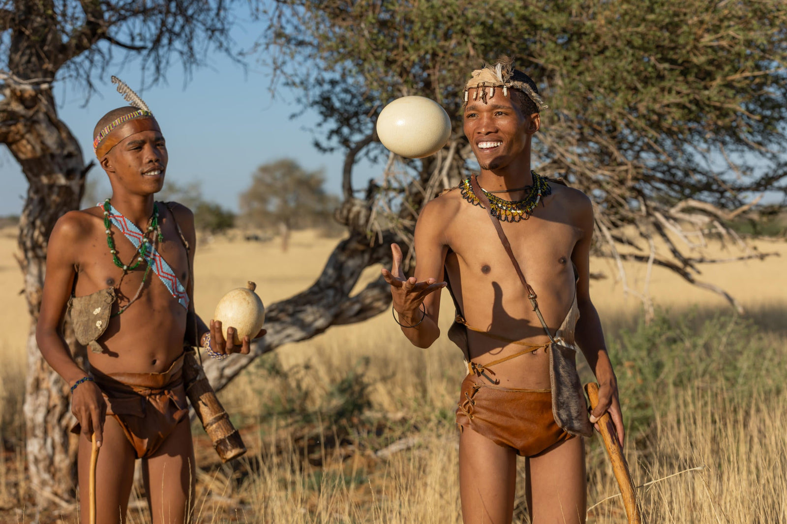 Bushmen Wisdom experience (guided)