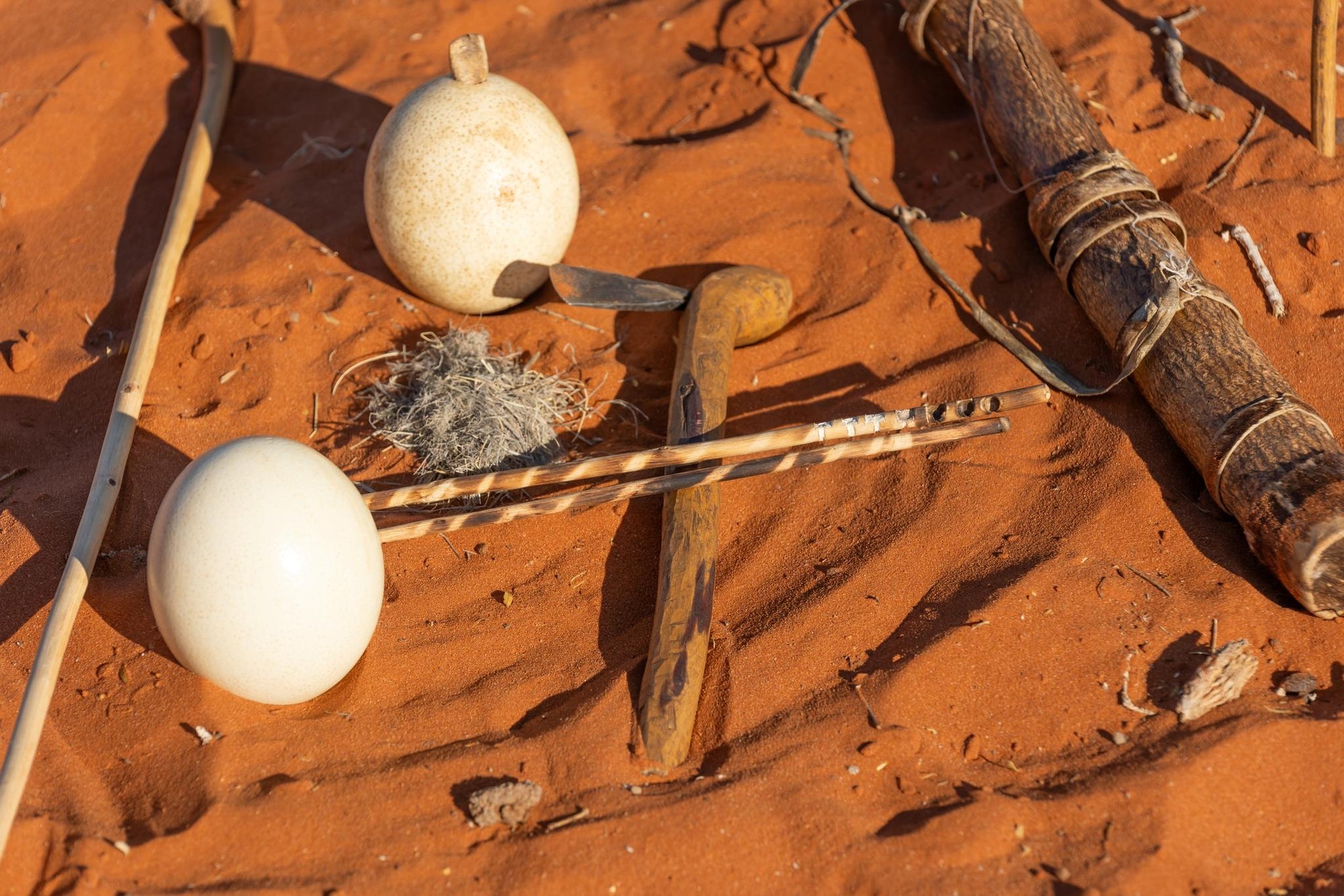 Bushmen Wisdom experience (guided)  gallery image 4