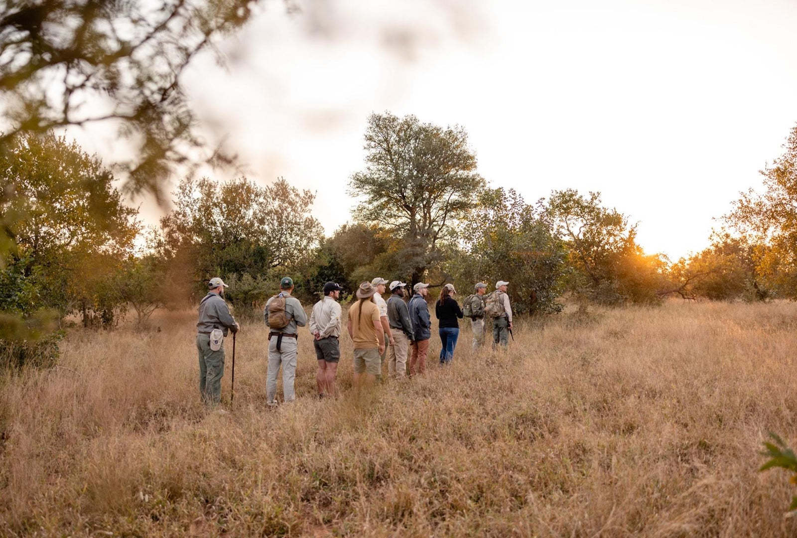Bush Walks