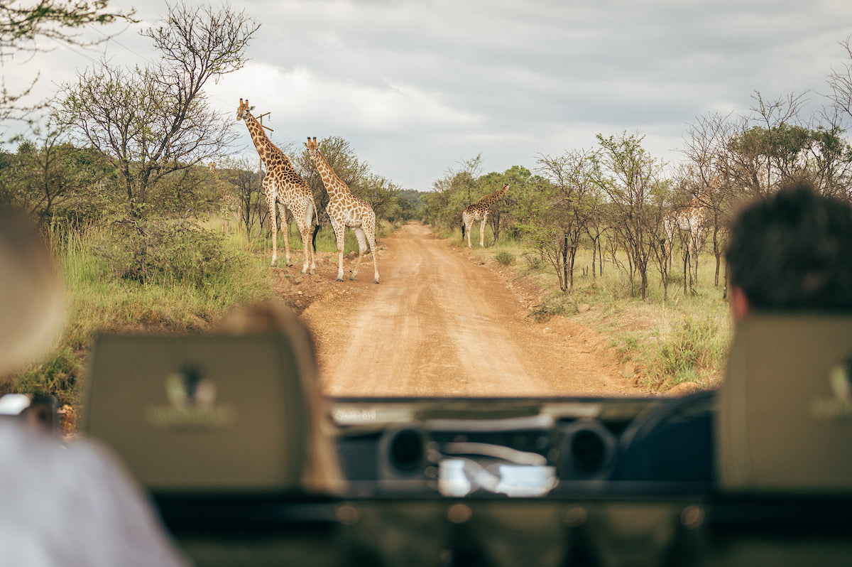 summerplace-game-reserve