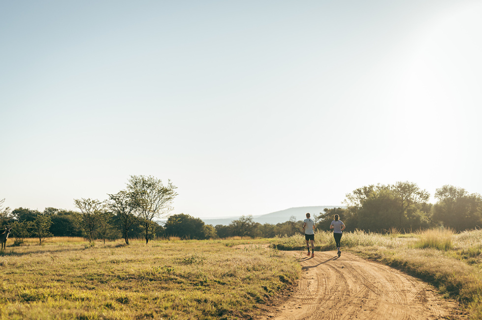 summerplace-game-reserve
