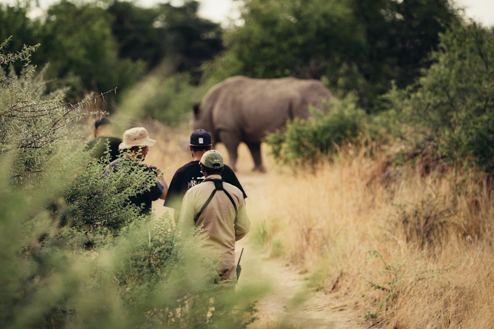 RHINO TRACKING