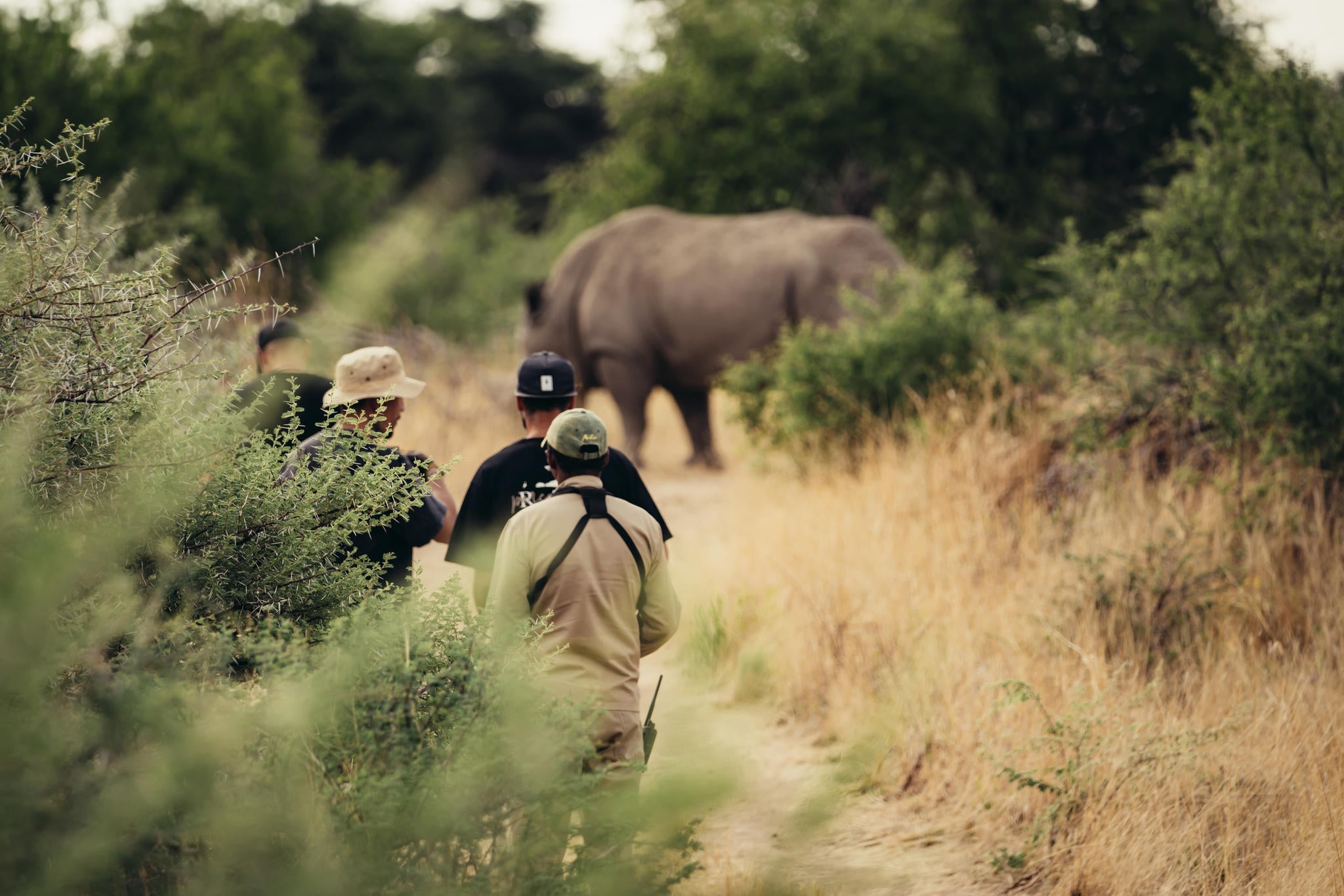 RHINO TRACKING