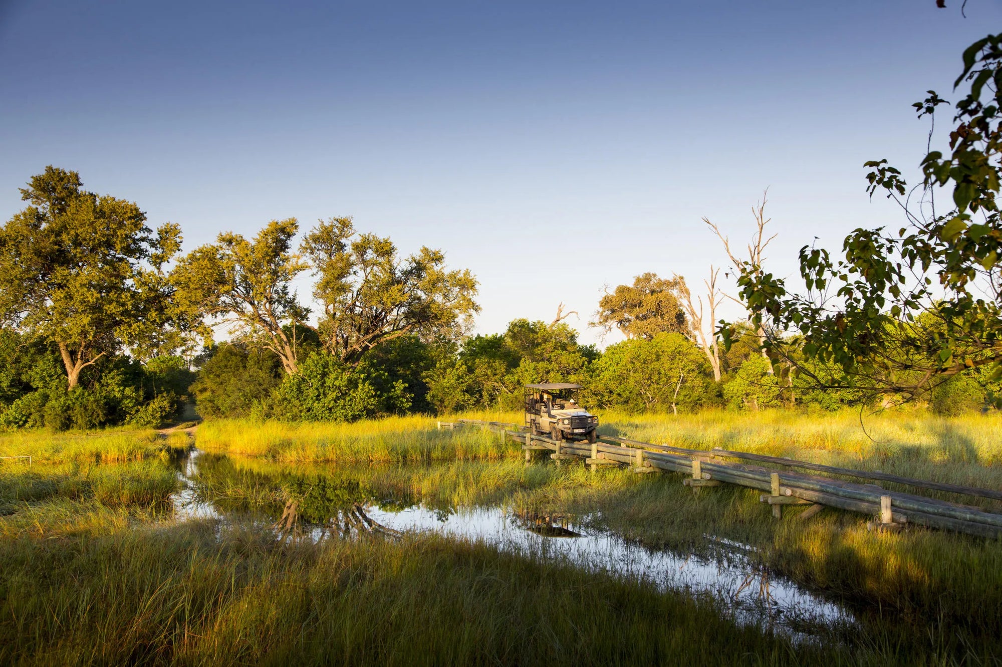 Game Drive at Little Sable, Khwai Private Reserve, Botswana.