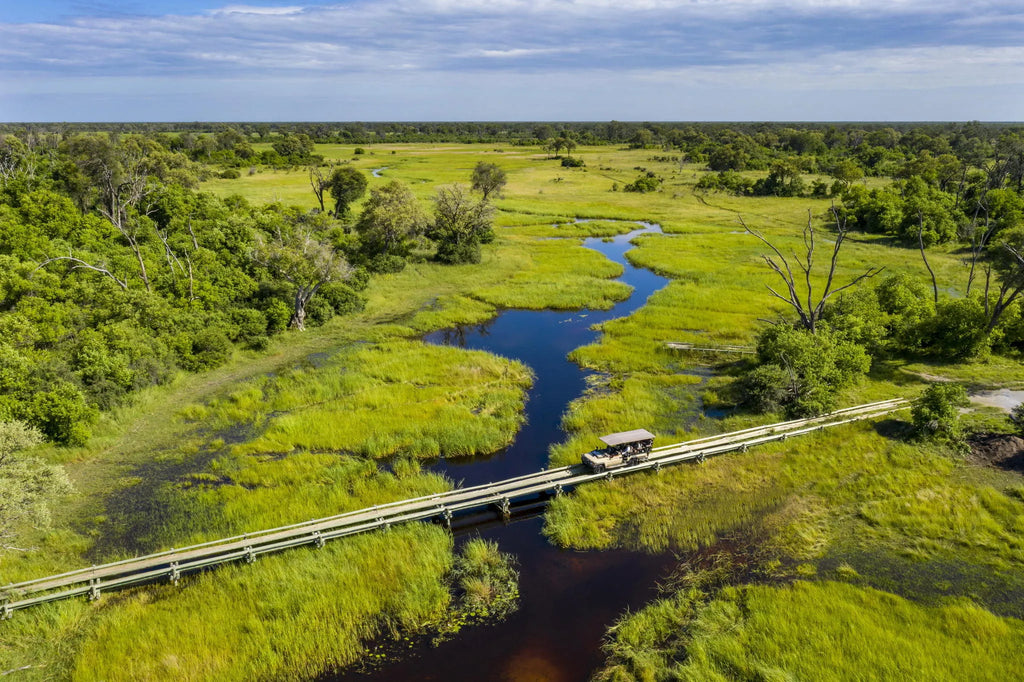 Game Drive at Little Sable, Khwai Private Reserve, Botswana.