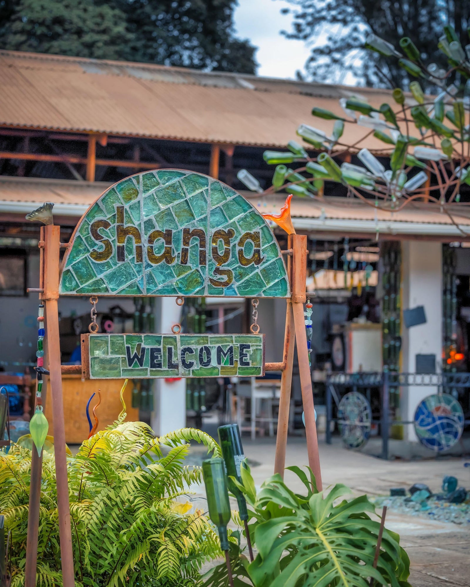 Shanga Experience