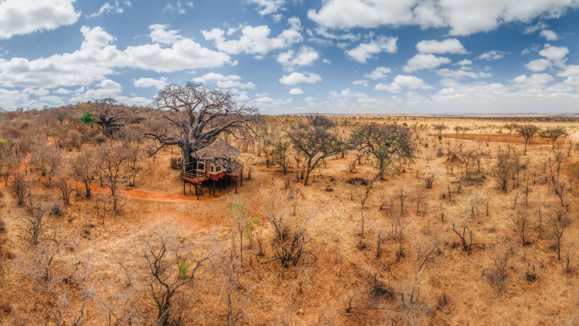 Treetops Elevated Room gallery image 5