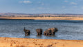 Game Drives gallery image 1