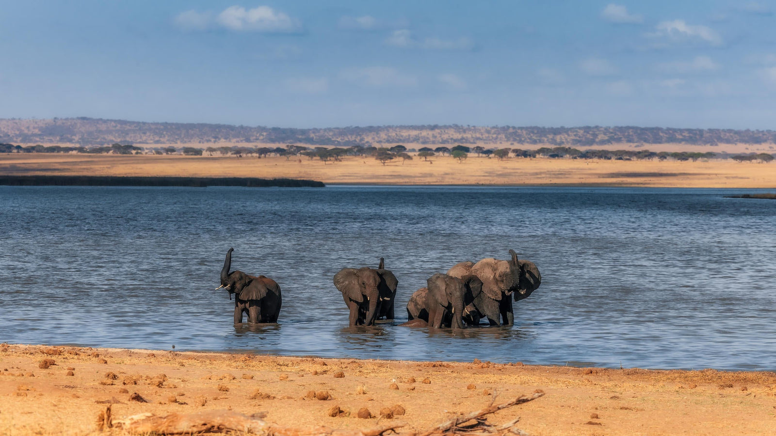 Game Drives