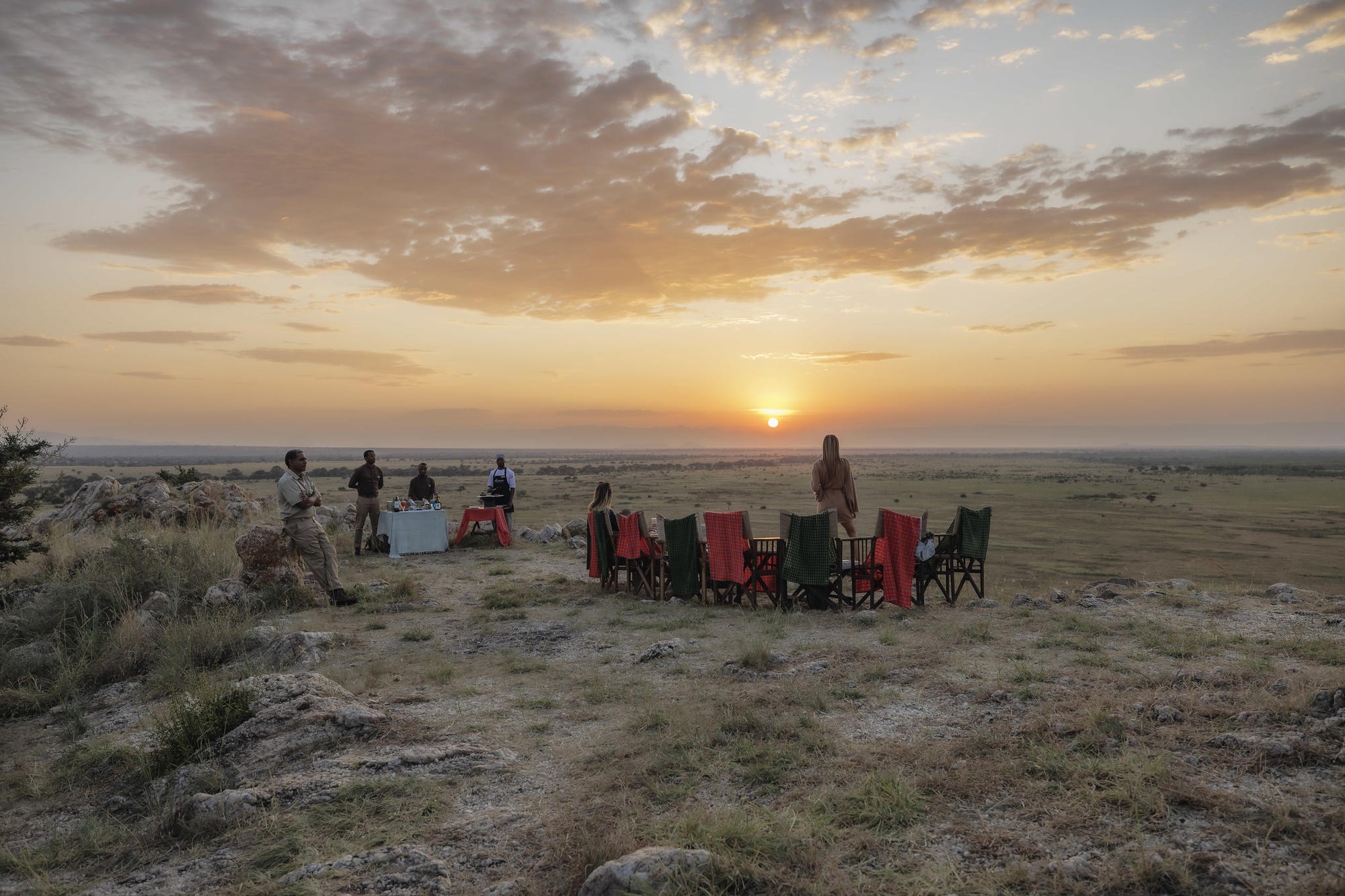 Bush Sundowner  gallery image 2