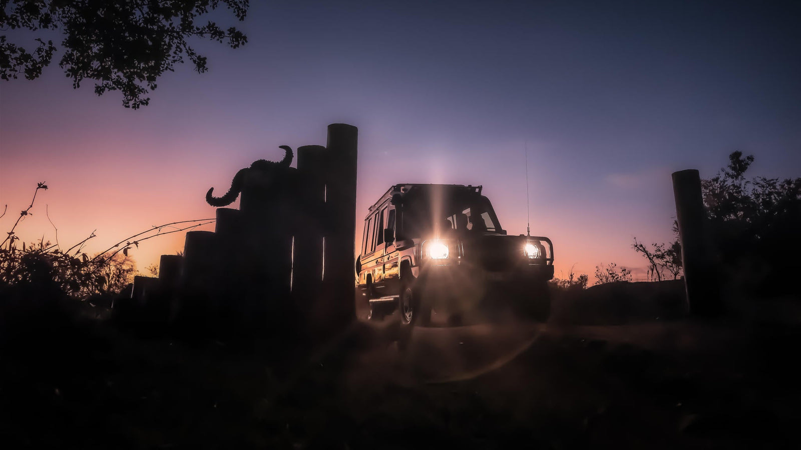 Game Drive
