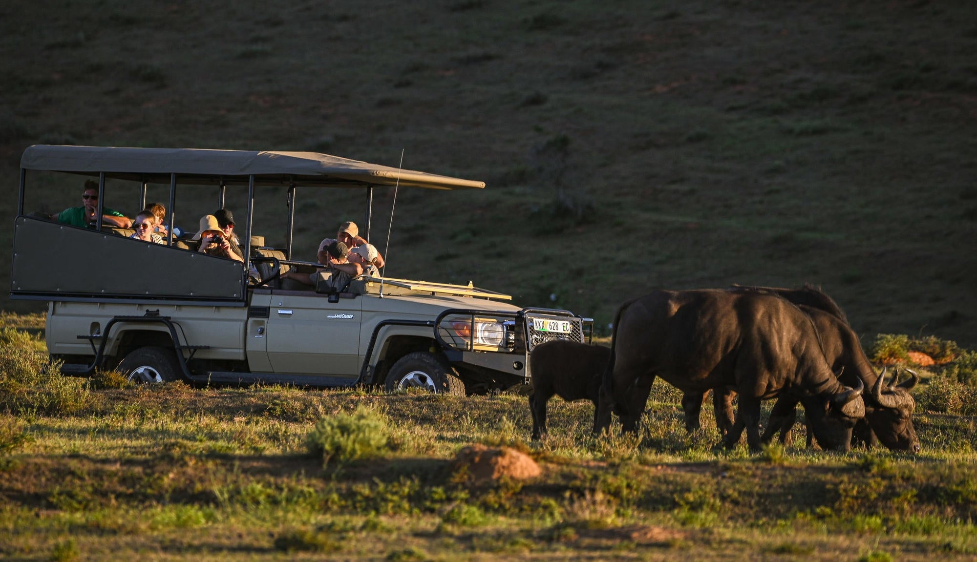 Big 5 Safaris (Game Drive) gallery image 2