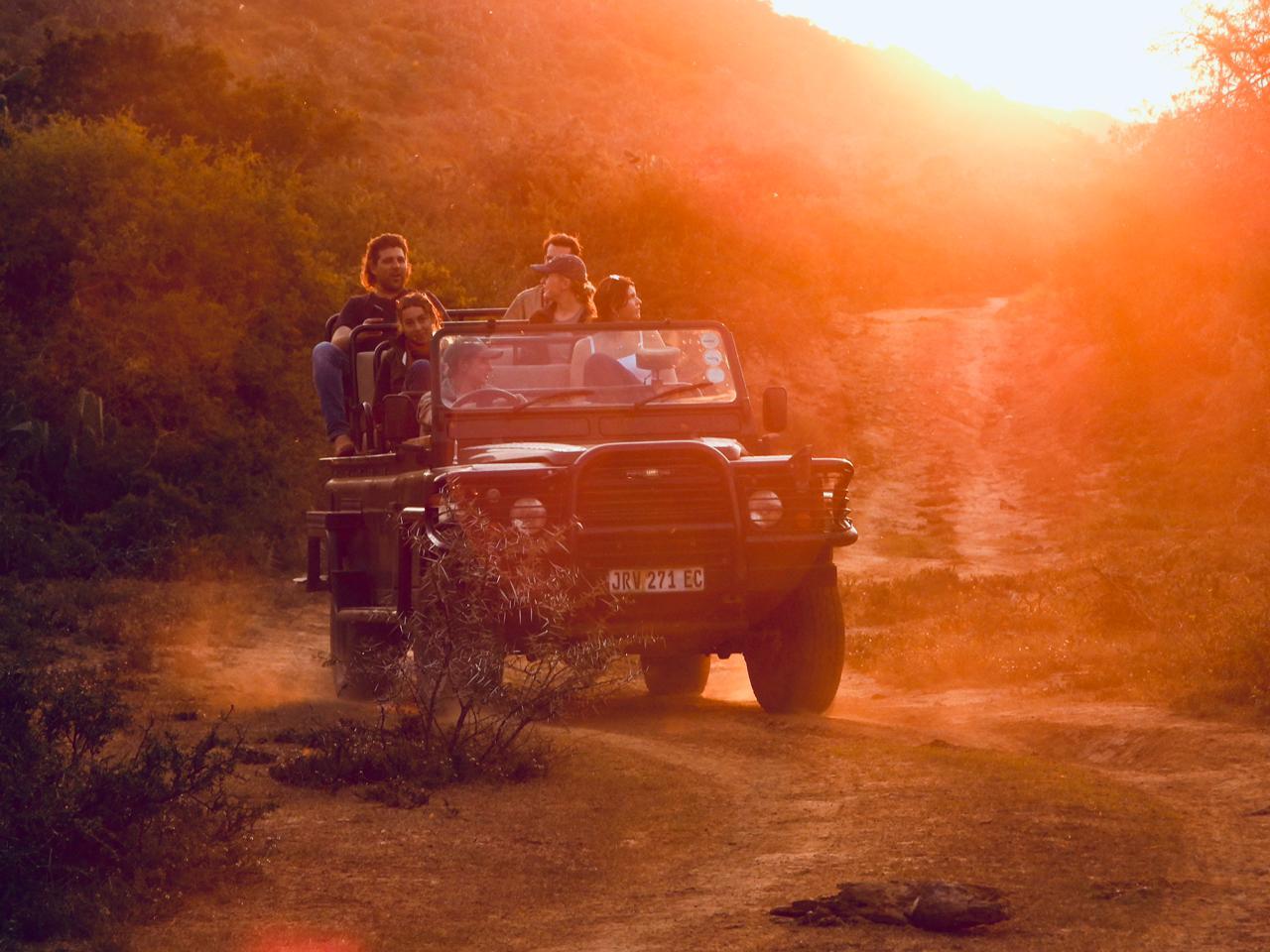 Big 5 Safaris (Game Drive)