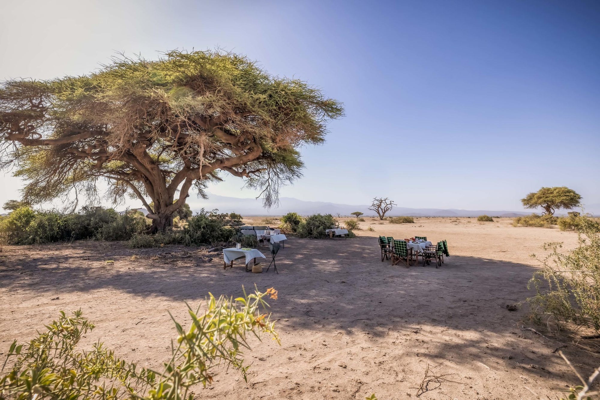 Bush Meals gallery image 2